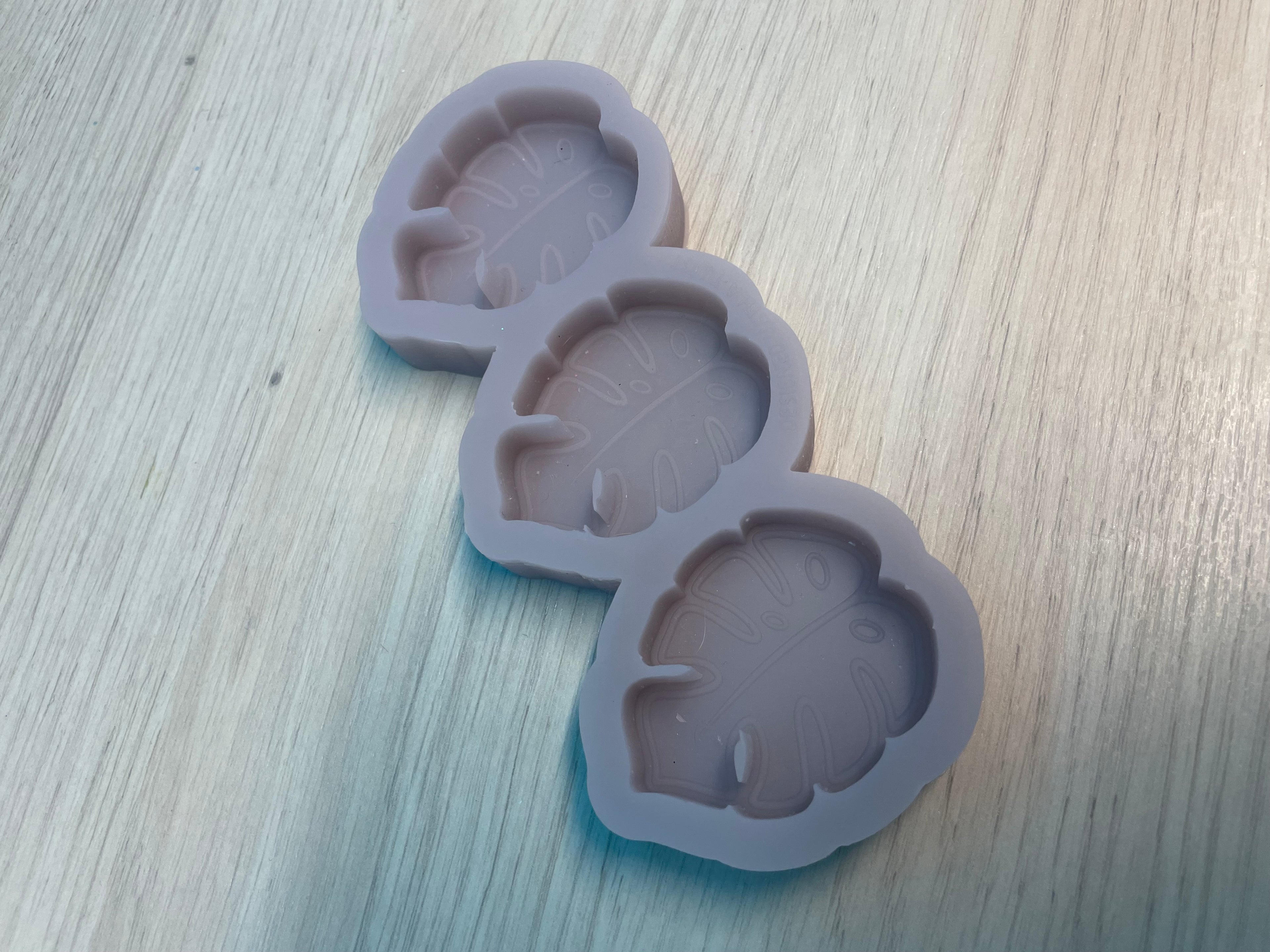 DWAT Monstera Leaves Silicone Mould