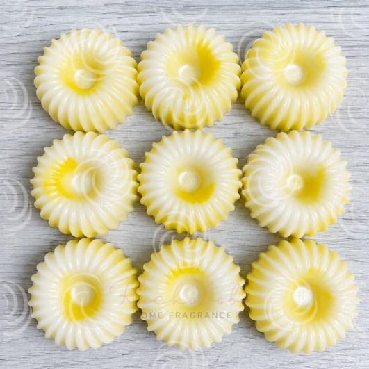 Daisy Belle Jumbo - 20g