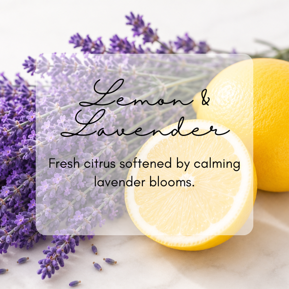 Lemon and Lavender Wax Melt Snap Bar | 50g