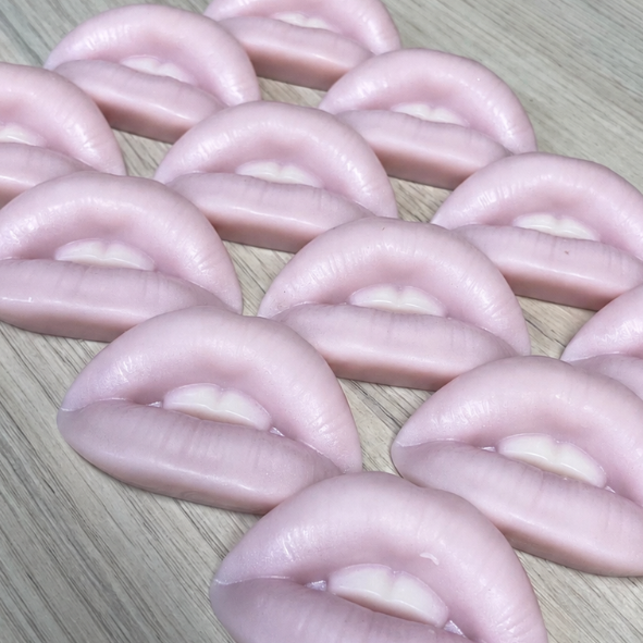 Powder Soft Lips | Wax Melt Shape | 20g
