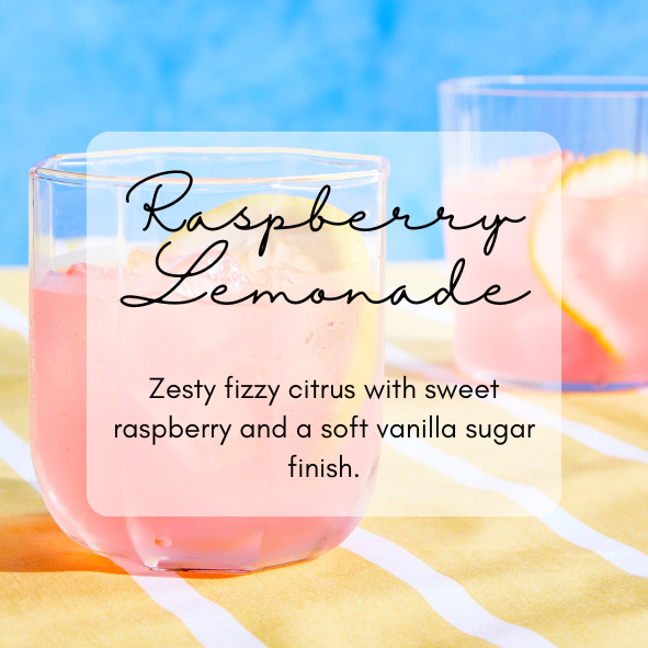 Raspberry Lemonade Wax Melt Snap Bar | 50g