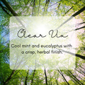 Clear Vix Snap Bar - 50g